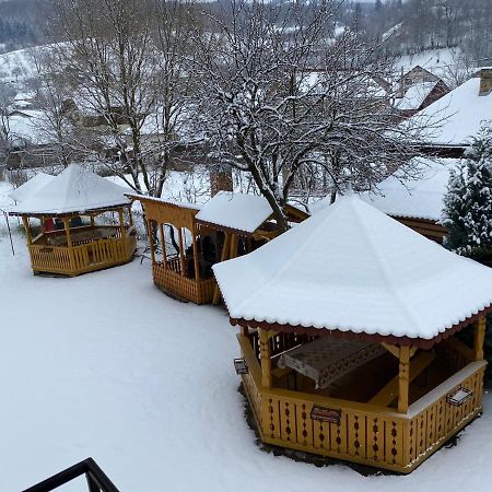 Camere De Inchiriat Floarea Reginei Vişeu de Sus Εξωτερικό φωτογραφία