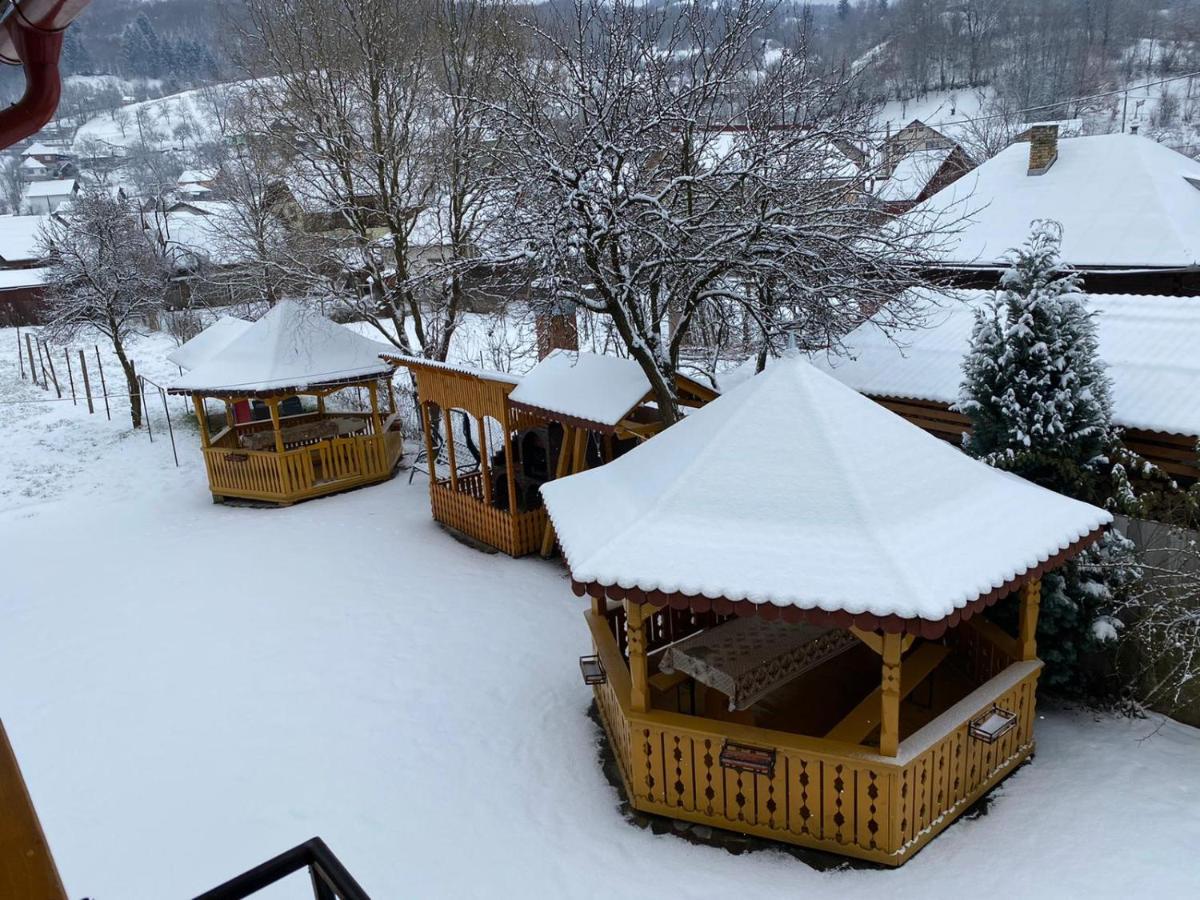 Camere De Inchiriat Floarea Reginei Vişeu de Sus Εξωτερικό φωτογραφία