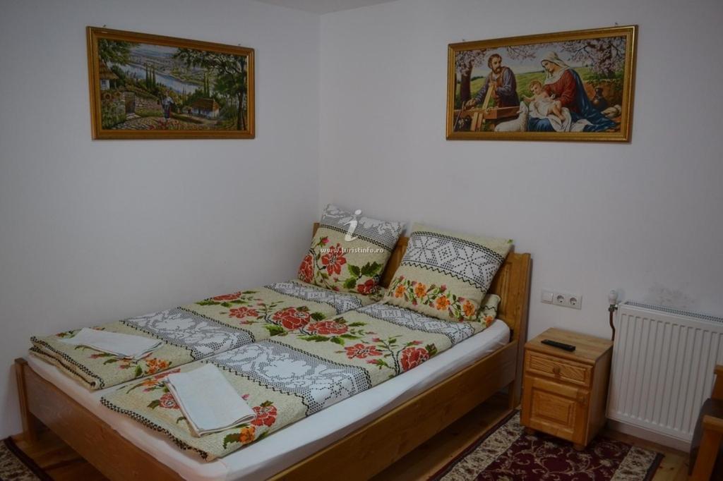 Camere De Inchiriat Floarea Reginei Vişeu de Sus Εξωτερικό φωτογραφία